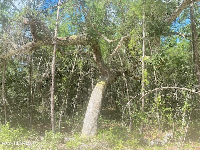 TBD Robin Rd, Palatka, FL 32177 - photo 1
