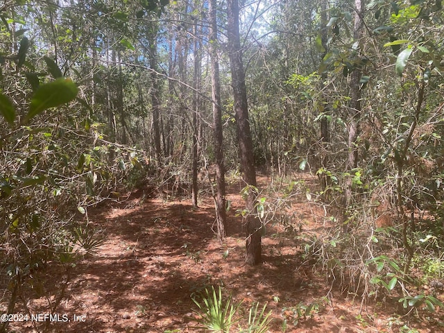 Listing photo 2 for TBD Robin Rd, Palatka FL 32177