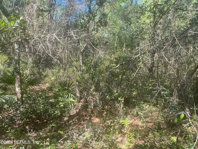 TBD Robin Rd, Palatka, FL 32177 - photo 3