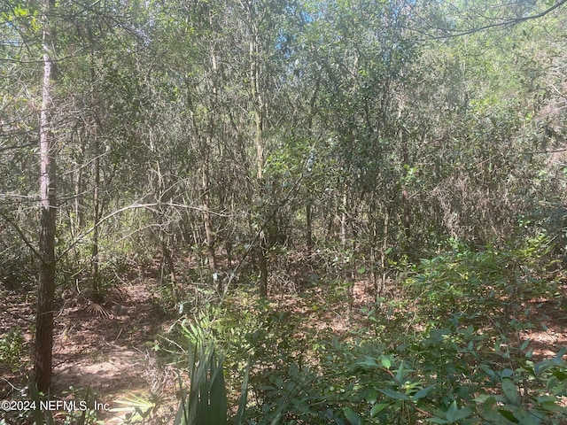 TBD Robin Rd, Palatka, FL 32177 - photo 4