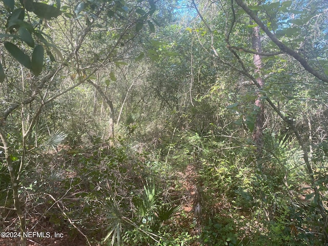 TBD Robin Rd, Palatka, FL 32177 - photo 6