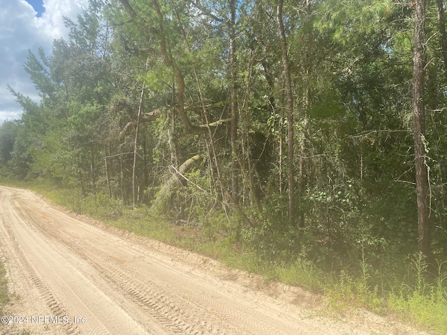 TBD Robin Rd, Palatka, FL 32177 - photo 8