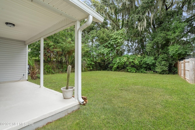 view of yard featuring a patio