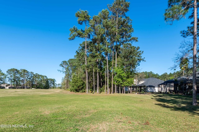2518 Willow Creek Dr, Fleming Island, FL 32003 - view of yard