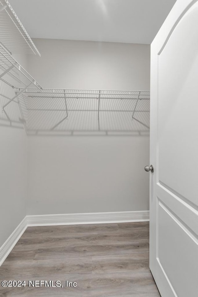 walk in closet with wood-type flooring