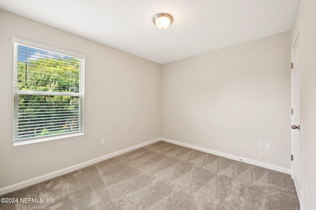 spare room featuring light carpet