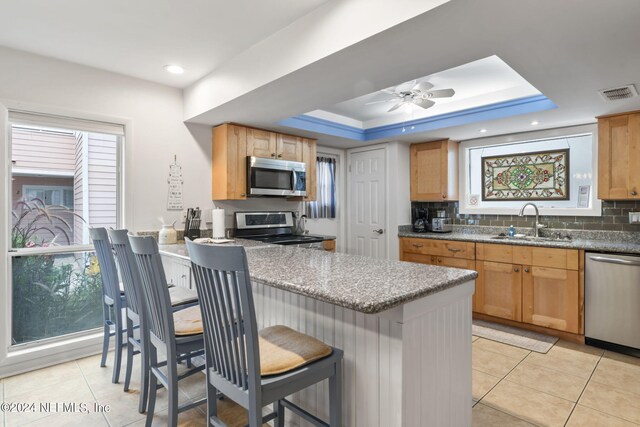 kitchen with backsplash, appliances with stainless steel finishes, a tray ceiling, sink, and ceiling fan