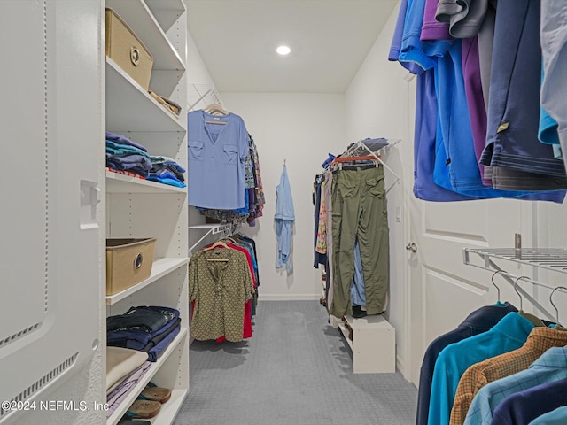 spacious closet featuring carpet floors