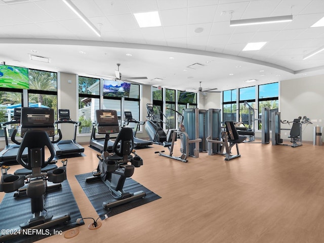 gym with a ceiling fan, floor to ceiling windows, and wood finished floors