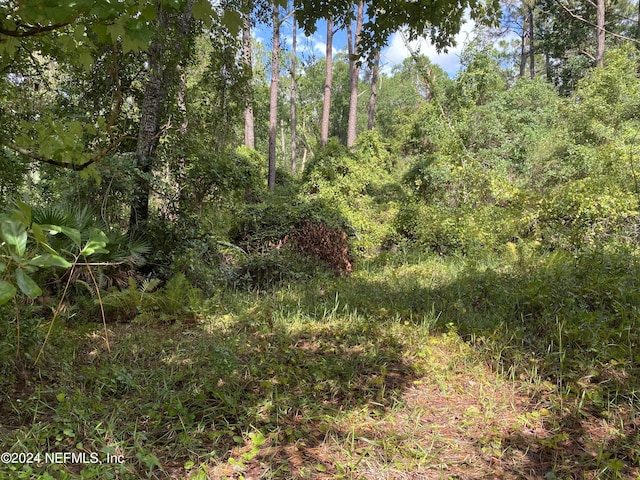 Listing photo 3 for LOT32 Lone Laurel Ln, Georgetown FL 32112