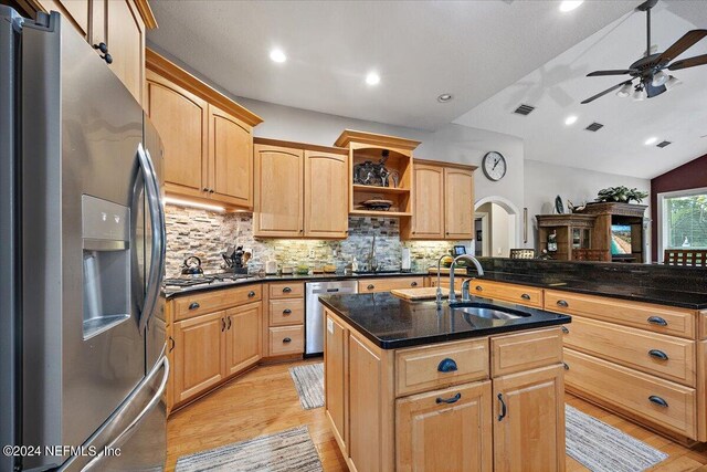 kitchen with lofted ceiling, light hardwood / wood-style flooring, stainless steel appliances, and ceiling fan