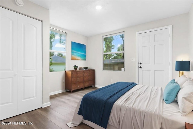 bedroom featuring multiple windows and wood-type flooring