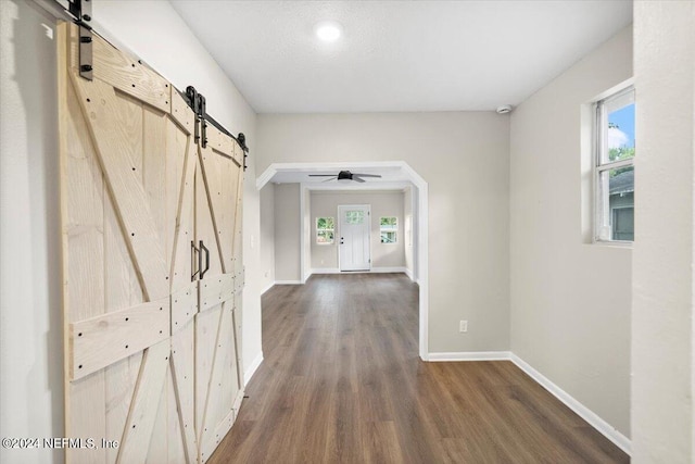 corridor featuring a barn door and dark hardwood / wood-style flooring