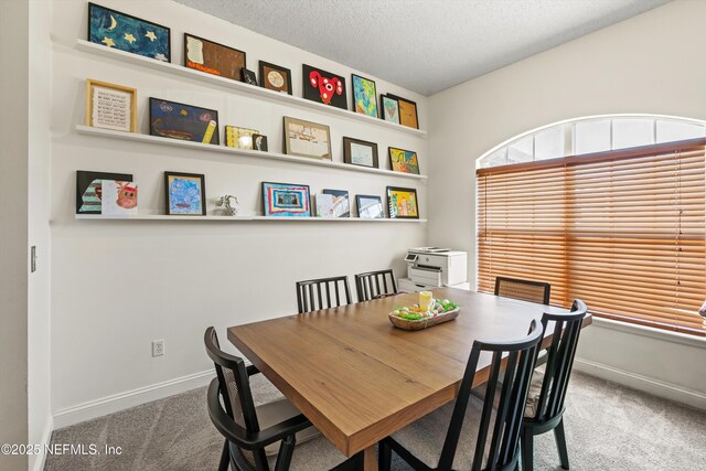9042 Ford Rd, Bryceville, FL 32009 - dining area with carpet floors, a textured ceiling, and baseboards
