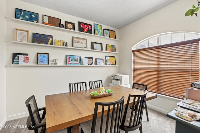 9042 Ford Rd, Bryceville, FL 32009 - dining room featuring baseboards, carpet floors, and a textured ceiling