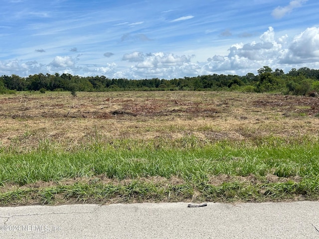 Listing photo 2 for 0 Seminole Rd, East Palatka FL 32131