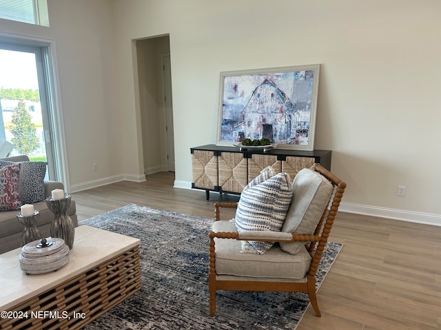 living room with hardwood / wood-style floors