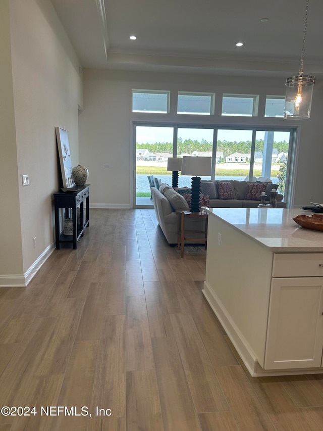 living room featuring light hardwood / wood-style flooring and plenty of natural light