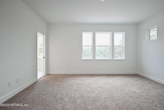 411 E 1st St, Jacksonville, FL 32206 - photo 13