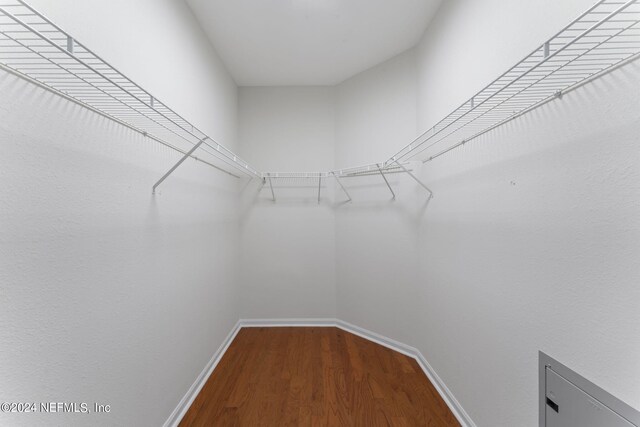 spacious closet featuring hardwood / wood-style flooring