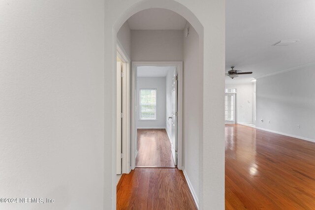 hallway featuring wood-type flooring