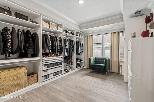 spacious closet featuring wood-type flooring