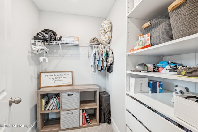 view of spacious closet