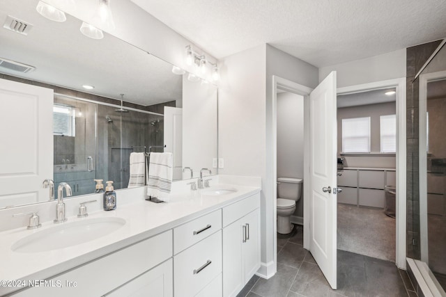 bathroom with vanity, toilet, a wealth of natural light, and a shower with door