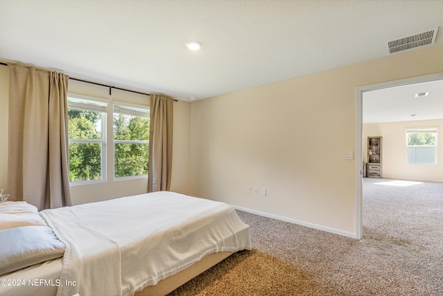 bedroom featuring visible vents, baseboards, and carpet flooring