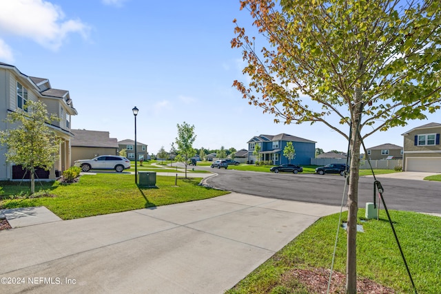 view of road featuring street lights, concrete driveway, and a residential view