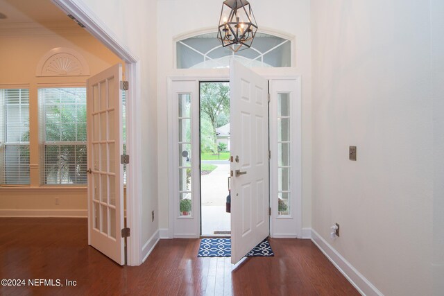 foyer with dark wood finished floors, a wealth of natural light, and baseboards