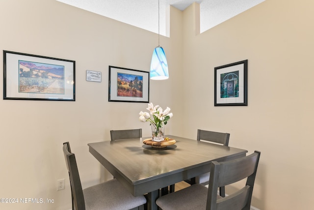 dining room featuring a textured ceiling and vaulted ceiling