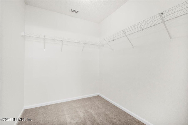 spacious closet with carpet flooring and visible vents