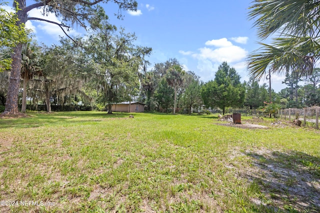 view of yard with a storage shed