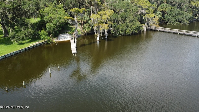 property view of water with a dock