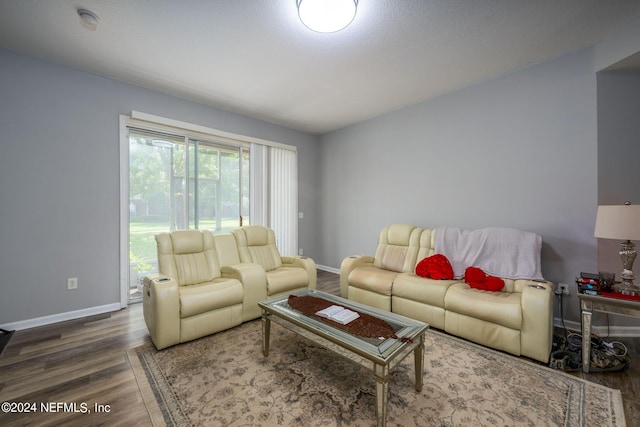 living room featuring dark hardwood / wood-style flooring