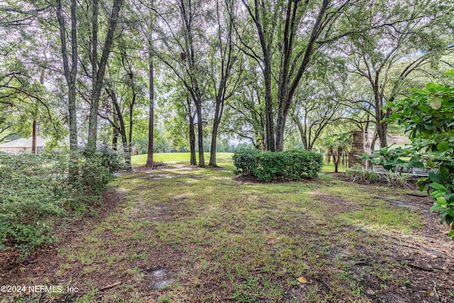 2674 Country Club Blvd, Orange Park, FL 32073 - photo 10