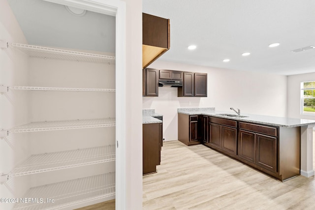 kitchen featuring dark brown cabinetry, light stone countertops, light hardwood / wood-style flooring, and sink