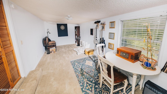 living area featuring a textured ceiling and carpet