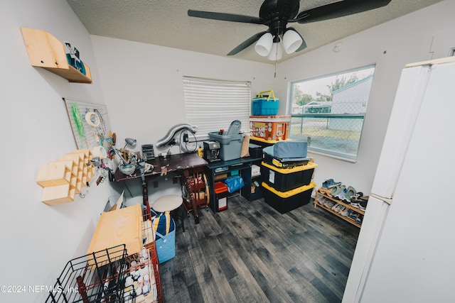 home office with a textured ceiling, ceiling fan, and wood finished floors