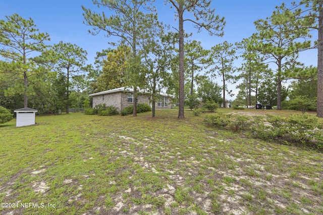 view of yard with a storage unit