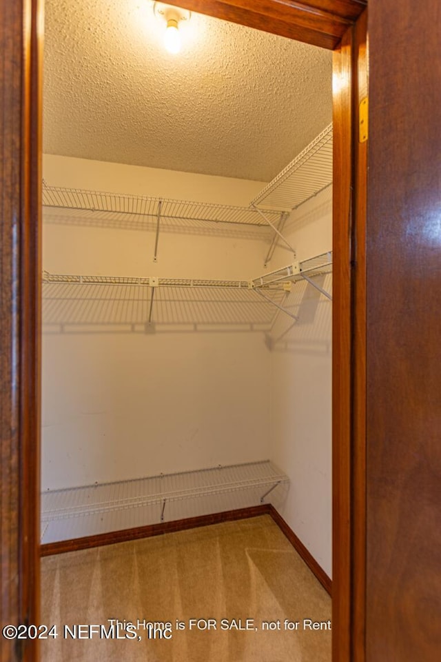 walk in closet with carpet