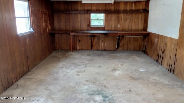 basement featuring wooden walls