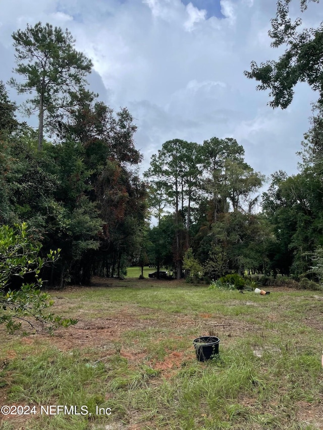 4071 Lazy Acres Rd, Middleburg FL, 32068 land for sale