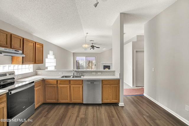 kitchen with lofted ceiling, sink, dark wood-type flooring, and appliances with stainless steel finishes