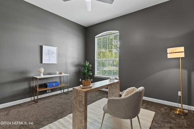 carpeted office space featuring a textured ceiling and ceiling fan