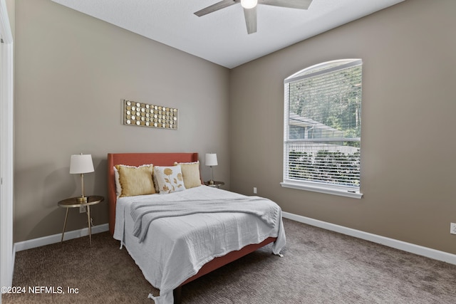 bedroom featuring ceiling fan and carpet flooring