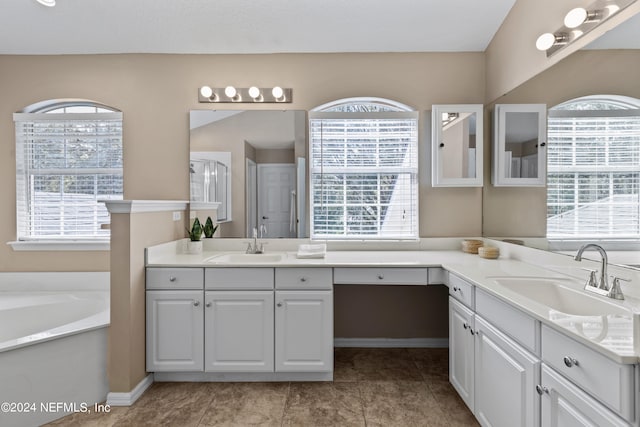 bathroom featuring vanity, a washtub, and a healthy amount of sunlight