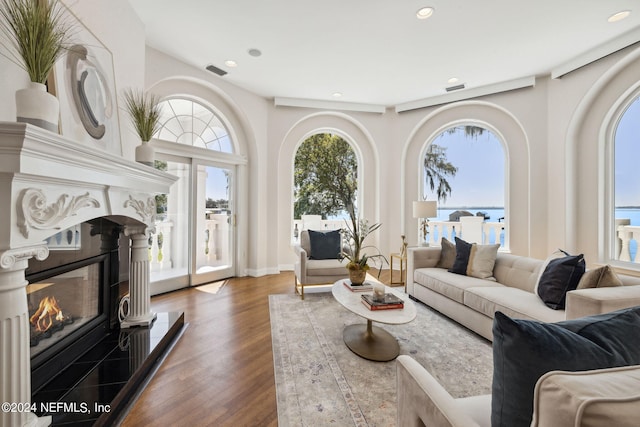 living room featuring dark wood-type flooring