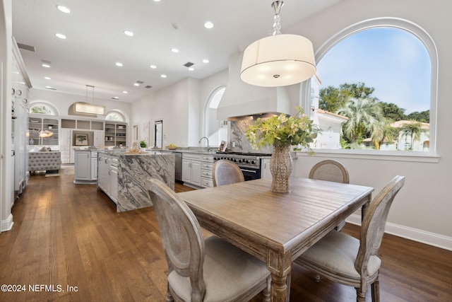 dining room featuring dark wood-type flooring